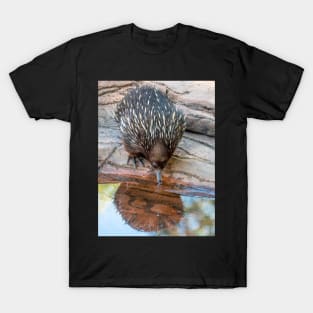 Echidna Enjoying A Cool Drink T-Shirt